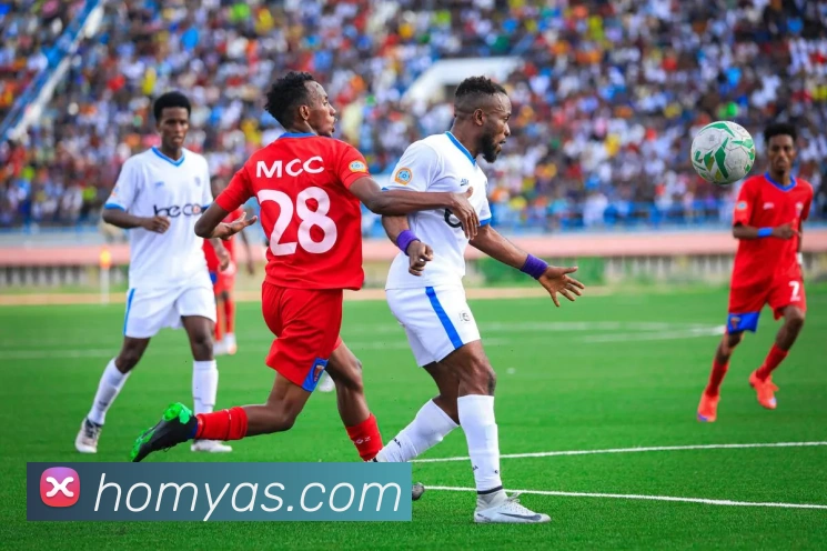 体育直播服务